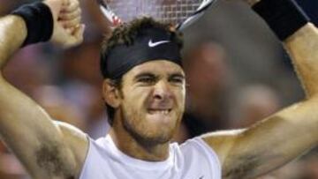 EN RACHA. El tenista argentino ha progresado mucho en el último año y se medirá en la final con el escocés Murray, que ha dado el mayor paso adelante en lo que va de año.