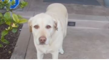 Instagram (emmythelabofficial)