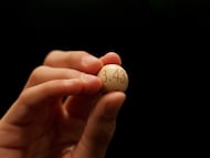 MADRID, SPAIN - DECEMBER 22: A pupil of the San Ildefonso school, holds the winning number, 13437, during the draw of Spain's Christmas lottery named 'El Gordo' (Fat One) at the Teatro Real on December 22, 2014 in Madrid, Spain. This year's winning number is 13437, with a total of 4 million euros for the top prize to be shared between ten ticket holders. The total prize fund is worth 2.24bn euros. (Photo by Pablo Blazquez Dominguez/Getty Images) LOTERIA NAVIDAD SORTEO