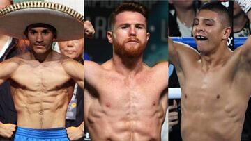 No todo en el boxeo mexicano se traduce a Saúl 'Canelo' Álvarez, además del jalisciense, México tiene otros 8 campeones del mundo en la actualidad.
