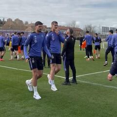 Grillitsch y Nikitscher están de vuelta