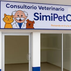 Dónde están las clínicas veterinarias del Dr. Simi en CDMX: costo y servicios básicos para perros y gatos