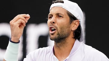 Fernando Verdasco. 