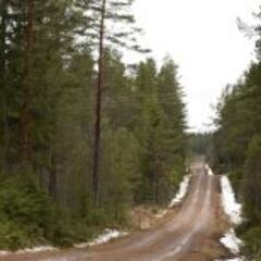 El Rally de Suecia se disputará pese a la falta de nieve