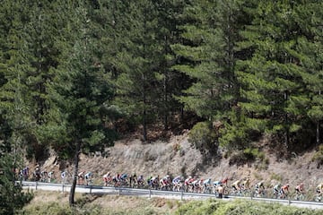 El pelotón durante la decimoquinta etapa de La Vuelta entre Tineo y El Acebo.
