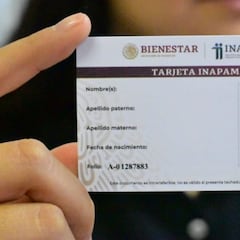 ¿Debo renovar la credencial INAPAM este 2024?: cómo, cuándo y requisitos