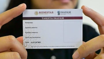 ¿Debo renovar la credencial INAPAM este 2024?: cómo, cuándo y requisitos