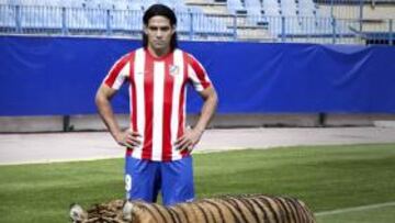 <b>ANDA SUELTO. </b>Falcao posando con un tigre en el estadio Vicente Calderón.