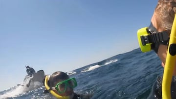 Australian snorkeling instructor skyrockets into the air as humpback whale breaches and hits them