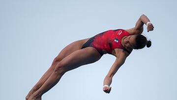 Viviana del Ángel, clavadista mexicana


EN LA FOTO:





Photo during the final competition of the 10M Platform Women's Platform from the Complejo Acuatico in Barranquilla.



IN THE PHOTO: