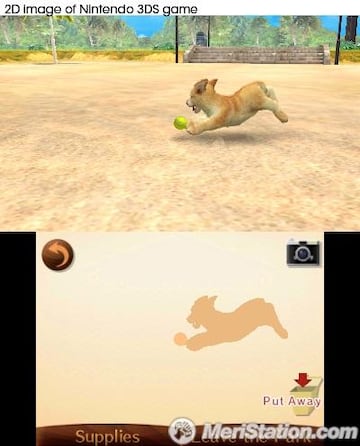 Captura de pantalla - nintendogs_beachpark3_fetch_uk.jpg