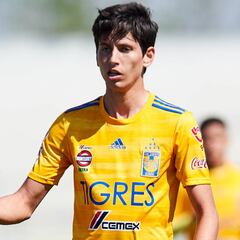 En Tigres dan por terminado el caso de Jürgen Damm