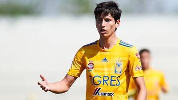 En Tigres dan por terminado el caso de Jürgen Damm