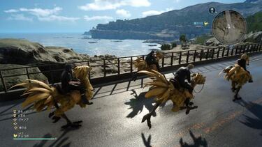 Conocemos a los chocobos de Final Fantasy XV