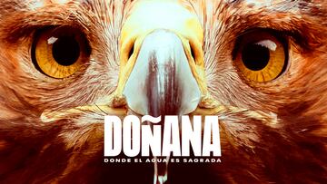 Doñana Crítica Review
