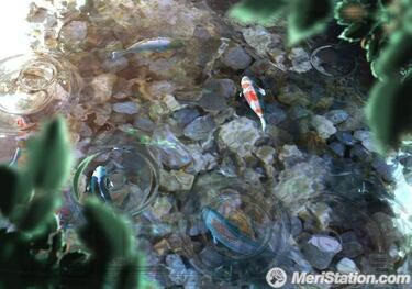 Let's Tap, Impresiones