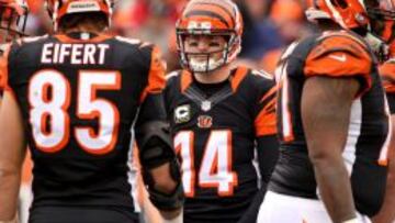 Andy Dalton est&aacute; rodeado de mucho talento ofensivo, sobresale la enorme temporada, especialmente en la end-zone, de Tyler Eifert.