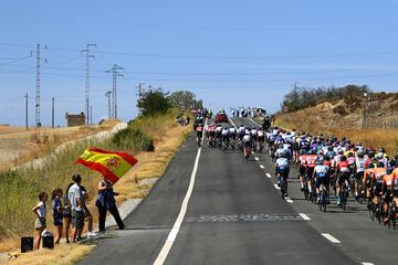 Caída de Roglic, pinchazo de Evenepoel y victoria de etapa para Pedersen