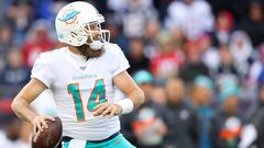 El choque de dos generaciones por un solo lugar detr&aacute;s del centro de los Dolphins ser&aacute; una de las historias a seguir en la pretemporada.