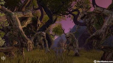 Petit ofrece información sobre los gremios en Warhammer Online