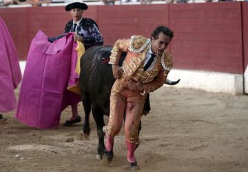 El torero Iván Fandiño recibió una cornada mortal de un toro de la ganadería Baltasar Ibán en la plaza francesa de Aire Sur L'Adour, 