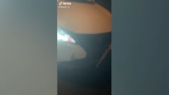 Un jugador ucraniano del Sporting se choca con un jabalí y su reacción arrasa