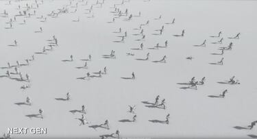 Electronic Arts en PS5 y Xbox Series X|S: Battlefield, Dragon Age, Mass Effect...