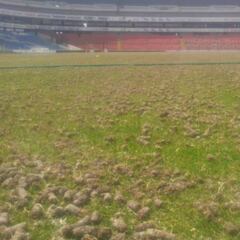 Así luce la cancha de Querétaro en donde se jugará el América - León