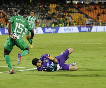 Así fue el semestre del Atlético Junior que terminó con la victoria sobre el Deportivo Pasto en la final y la novena estrella. 