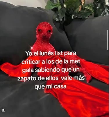 Los mejores memes de la MET Gala 2025 