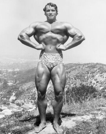 El eterno Terminator comenz車 con 14 a?os, en su Austria natal, a levantar pesas. Con 21 se mud車 a California y consigui車 5 t赤tulos de M赤ster Universo y 7 de M赤ster Olympia antes de convertirse en una estrella en Hollywood con papeles como Conan, Terminator o Mentiras Arriesgadas.