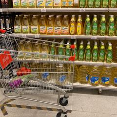 Bono Canasta Familiar: como saber si soy beneficiario y dónde consultar