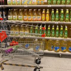 Bono Canasta Familiar: cómo postular y requisitos