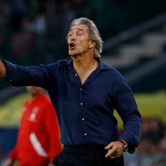 Los problemas de Pellegrini