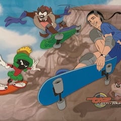 Tony Hawk: “En 2003, Warner Bros me propuso grabar Skate Jam”