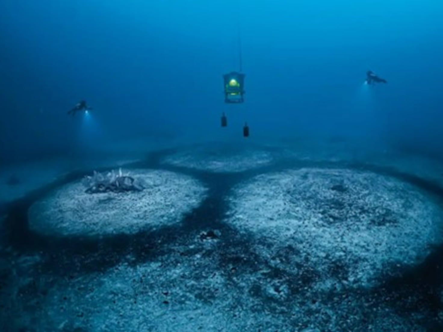 Scientists stumble upon disturbing perfect circles on the seafloor and find the key: “It was alive”. - AS USA