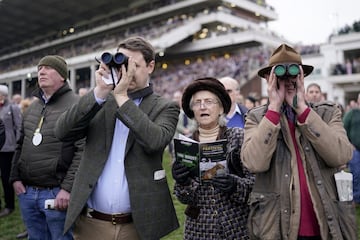 El Festival de Cheltenham es uno de los eventos hípicos más importantes del Reino Unido. Las carreras transcurren en Cheltenham, en la región de Gloucestershire. En el transcurso de las pruebas, el festival genera varios cientos de millones de libras en a