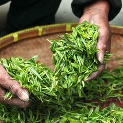 ¿Cuánto dinero genera la venta de té en el mundo? ¿Qué países lideran el consumo?