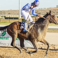 Khalaas, caballo a batir en tierra conquistada; Celestial Lad, el rival