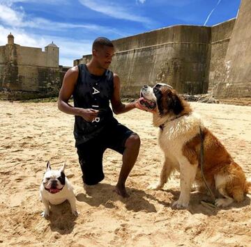 Carvalho es un gran amante de los animales. Lo demuestra en sus redes cada vez que cuelga fotos de Boris y Paco, sus dos mascotas y su auténtica pasión.