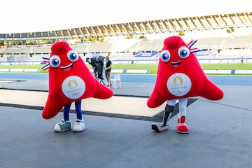 Las mascotas de los Juegos 2024 son dos gorros frigios antropomorfos conocidos como Phryges. Tienen un fuerte simbolismo histórico y cultural dado que eran utilizados por los esclavos liberados simbolizando la libertad. Son originarios de Frigia, una región de Anatolia (actual Turquía). La mascota de los Juegos Paralímpicos tiene una prótesis visible que promueve el mensaje de inclusión y diversidad en este gran evento deportivo. 