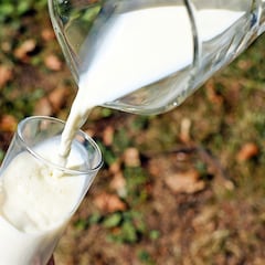 Un nutricionista acaba con un mito de la leche desnatada