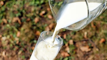 Un nutricionista acaba con un mito de la leche desnatada
