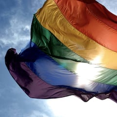 LGTB: Definición e historia