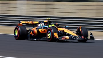Formula One F1 - Chinese Grand Prix - Shanghai International Circuit, Shanghai, China - March 21, 2025 McLaren's Lando Norris during practice REUTERS/Tyrone Siu
