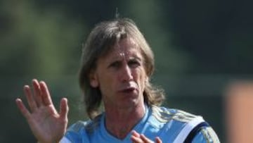 Ricardo Gareca asumi&oacute; en la selecci&oacute;n de Per&uacute; hasta el proceso de las Clasificatorias para Rusia 2018.