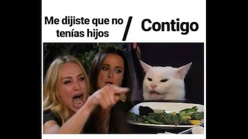 Meme gato