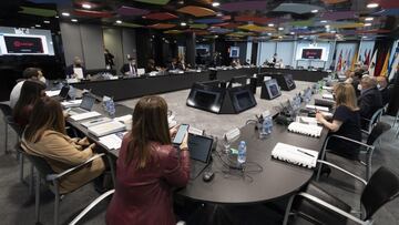 La Comisi¨®n Delegada de LaLiga ha ratificado por unamidad su apoyo a LaLiga Impulso