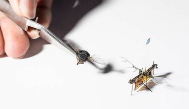 Insectos robot con energía láser, el ejército invisible del futuro