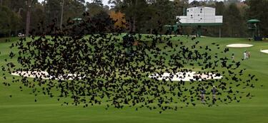 Un Masters oto?al por la pandemia arranca en Augusta